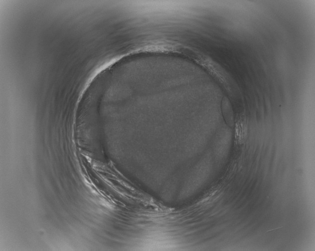 X0000077980724200611251344
