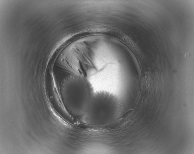 X0000077980726200611251345