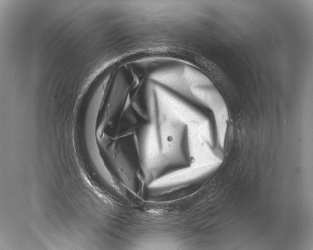 X0000077980728200611251345