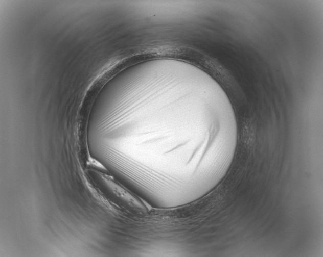 X0000077980730200611251345
