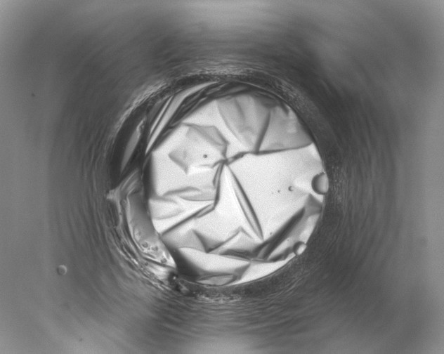 X0000077980731200611251345