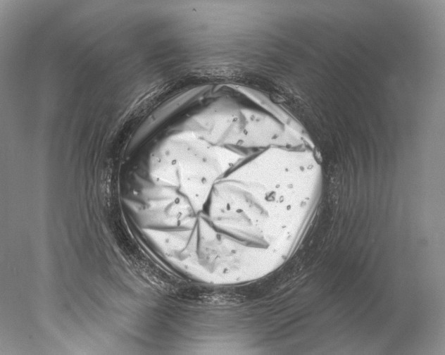 X0000077980739200611251345
