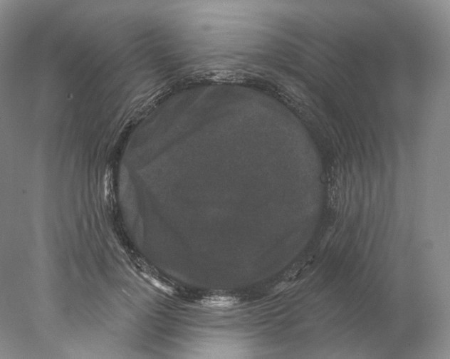 X0000077980748200611251345