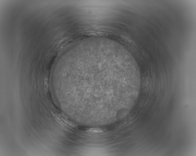 X0000077980749200611251345