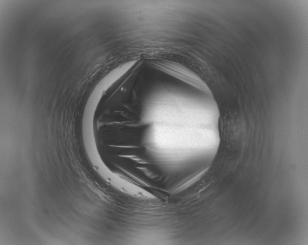 X0000077980750200611251345