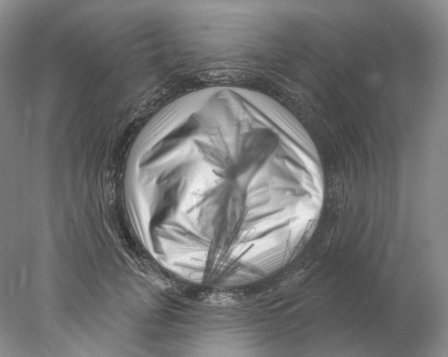 X0000077980751200611251345