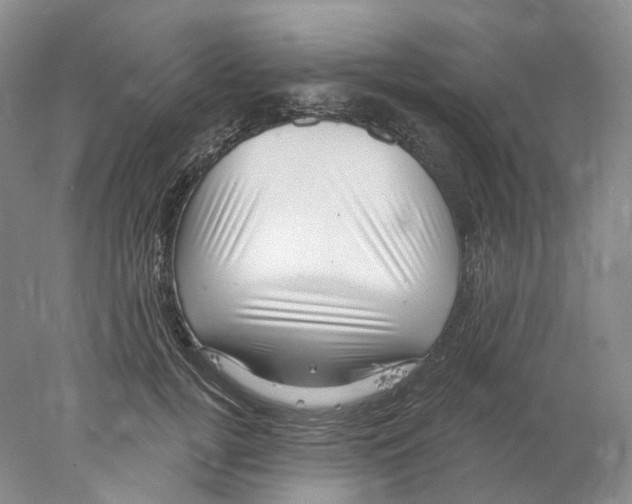 X0000077980752200611251345
