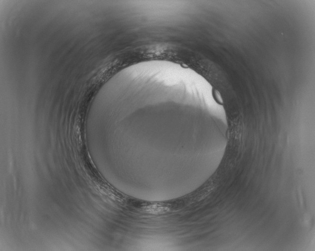X0000077980754200611251345