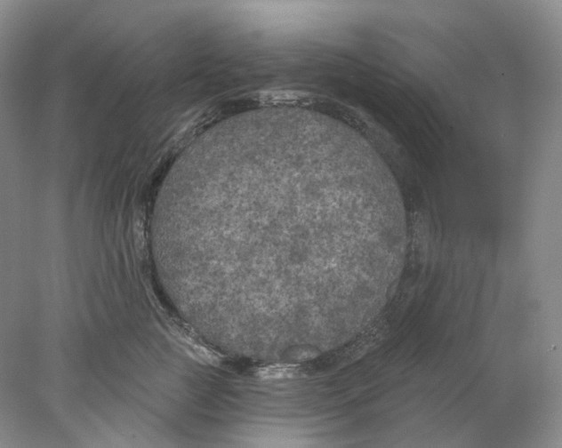 X0000077980761200611251345