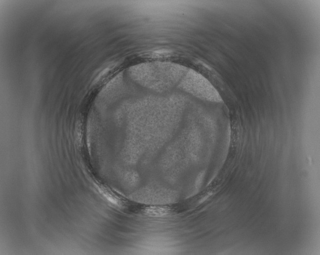X0000077980762200611251345