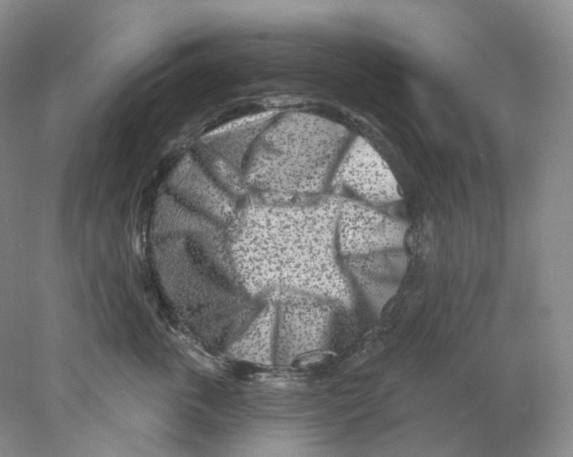 X0000077980763200611251345