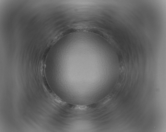 X0000077980767200611251345