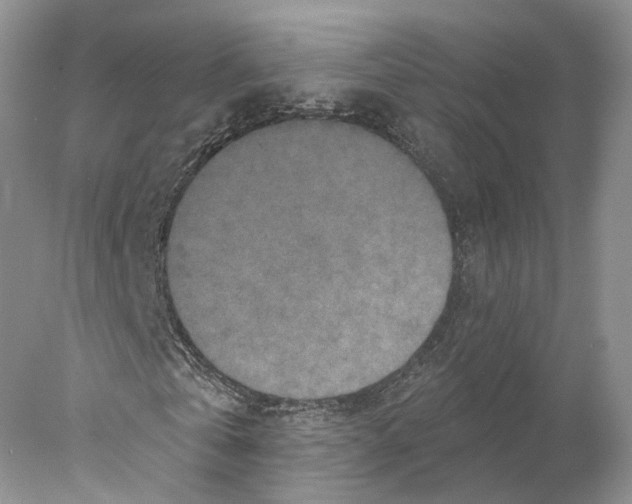 X0000077980769200611251344
