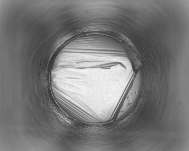 X0000077980786200611251344