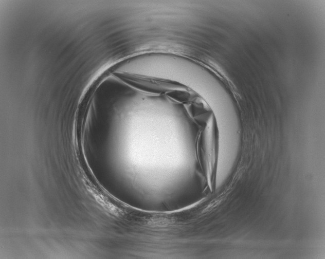 X0000077980788200611251344