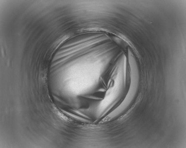 X0000077980801200611251344