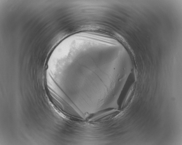 X0000077980802200611251344