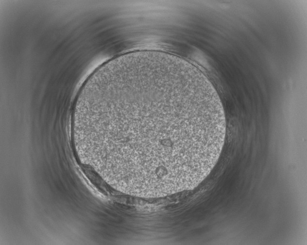 X0000077980804200611251344