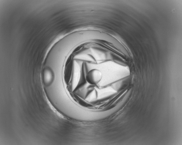 X0000077980813200611251344