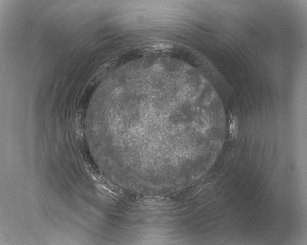 X0000077980819200611251343