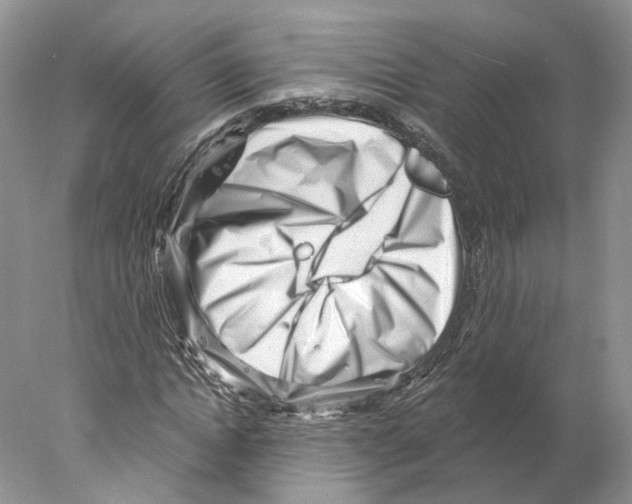 X0000077980822200611251343