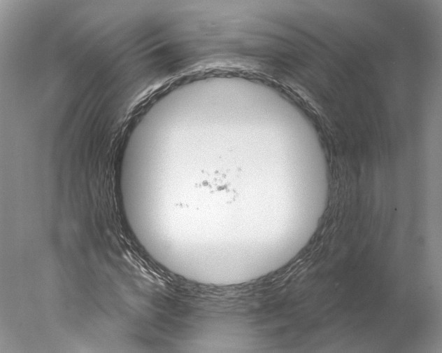 X0000077980824200611251343