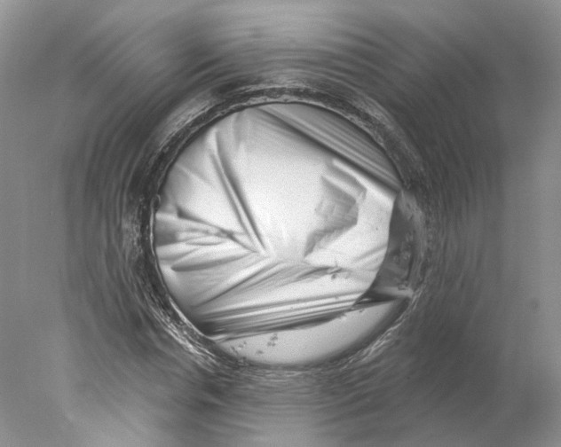 X0000077980826200611251343