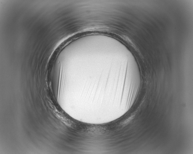 X0000077980830200611251343