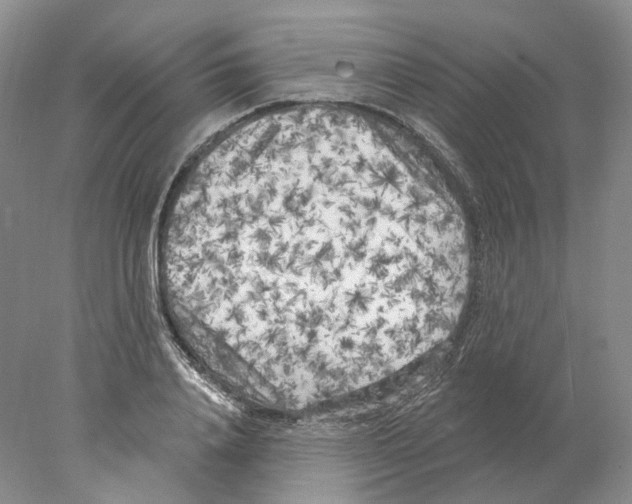 X0000077980840200611251343