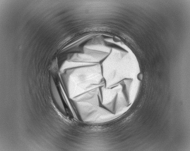 X0000077980841200611251343