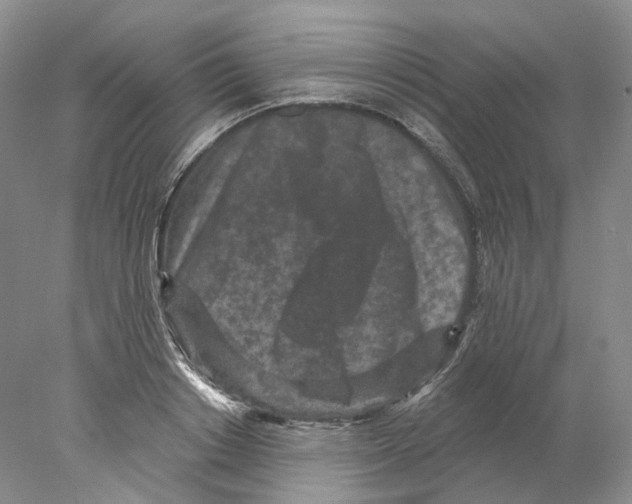 X0000077980842200611251343