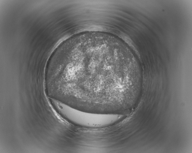 X0000077980845200611251343