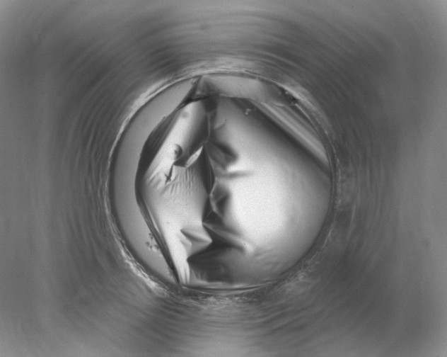 X0000077980850200611251343