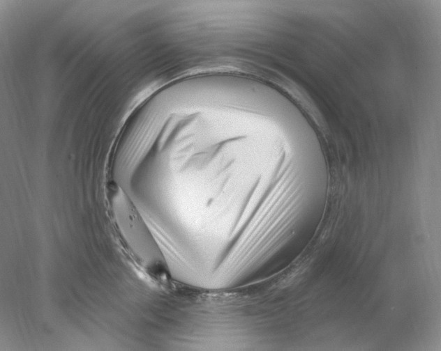 X0000077980858200611251344