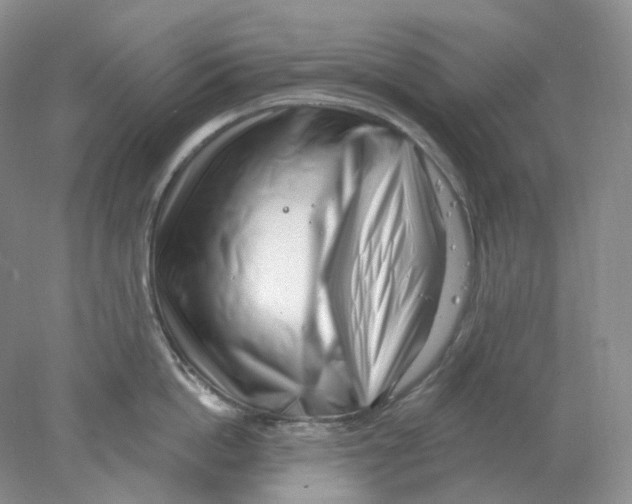 X0000077980862200611251344