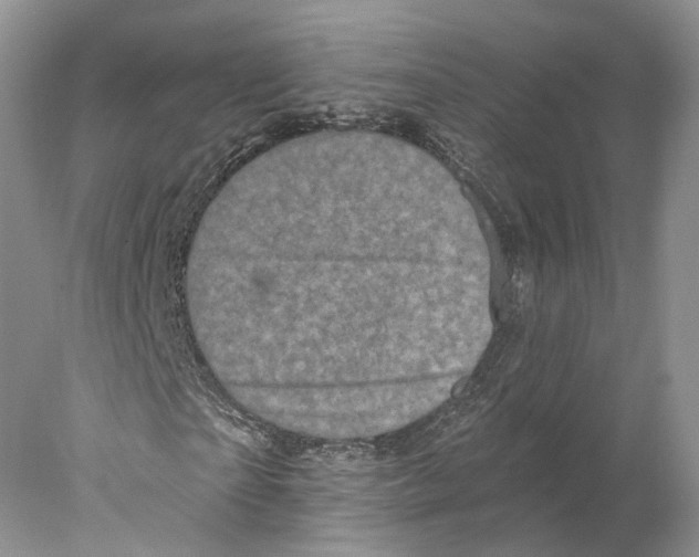 X0000077980865200611251343
