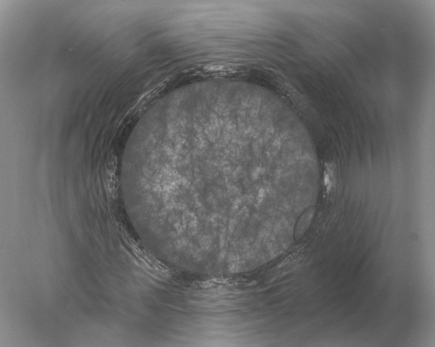 X0000077980867200611251343