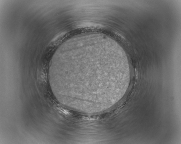 X0000077980869200611251343