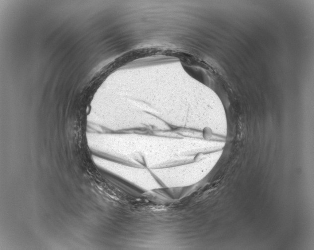 X0000077980872200611251343