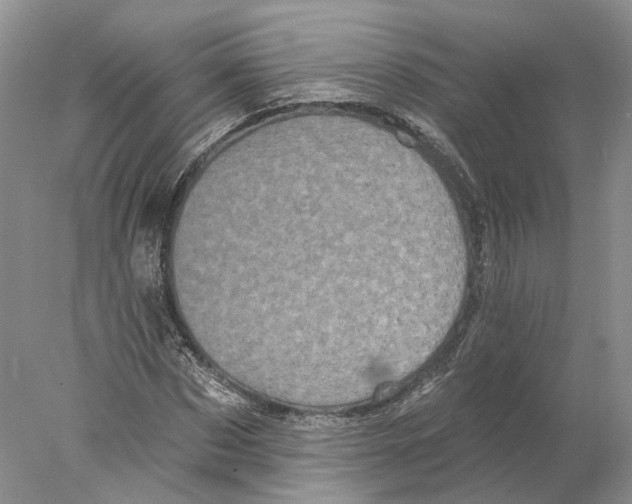 X0000077980873200611251343