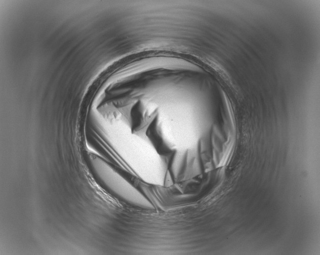 X0000077980880200611251343