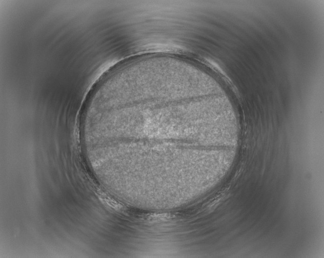 X0000077980883200611251343