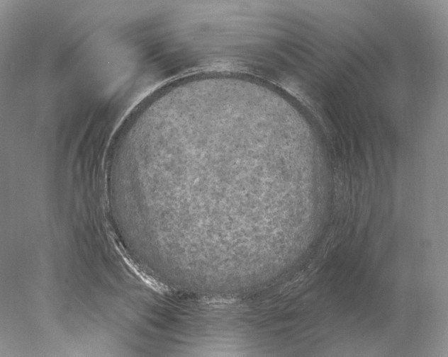 X0000077980886200611251342