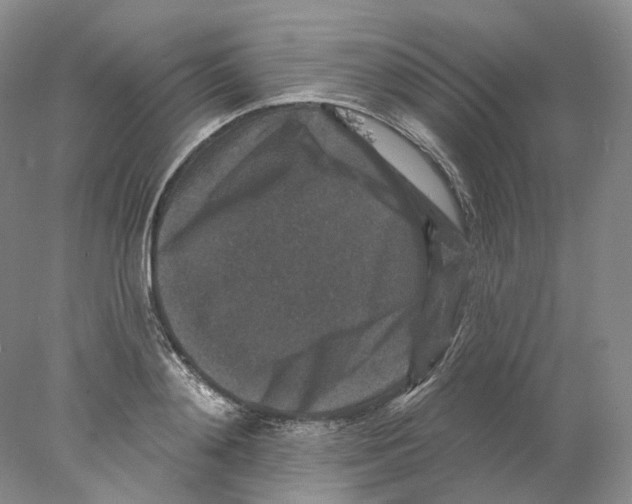 X0000077980892200611251342