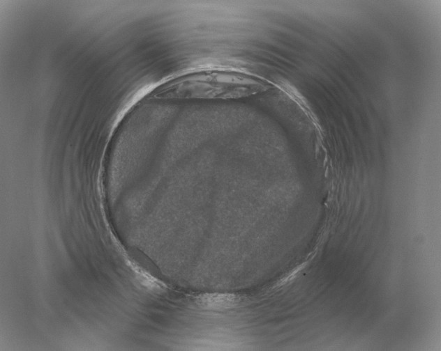 X0000077980893200611251342