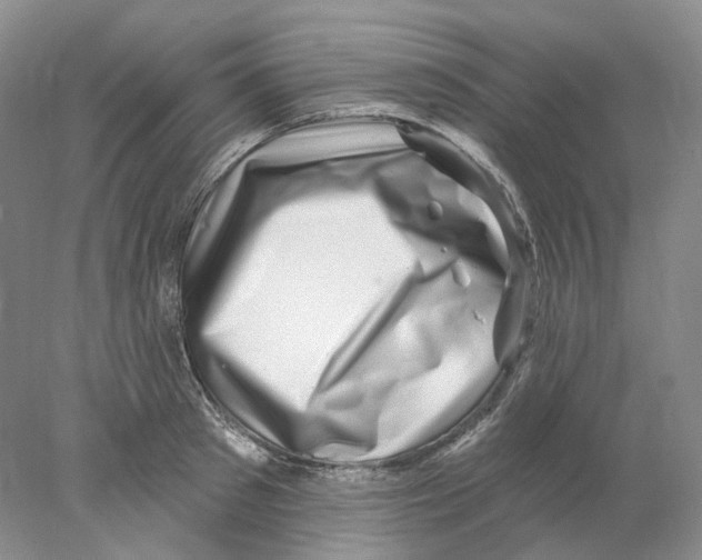 X0000077980897200611251342