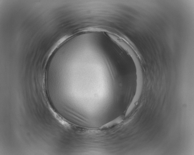 X0000077980909200611251342