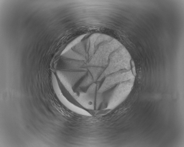 X0000077980916200611251341