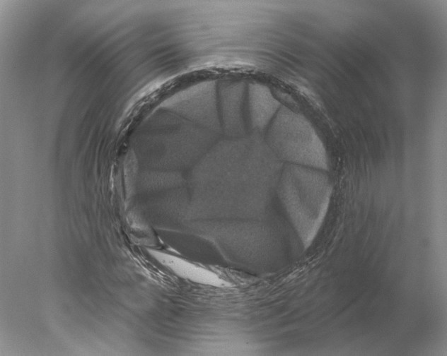 X0000077980920200611251341