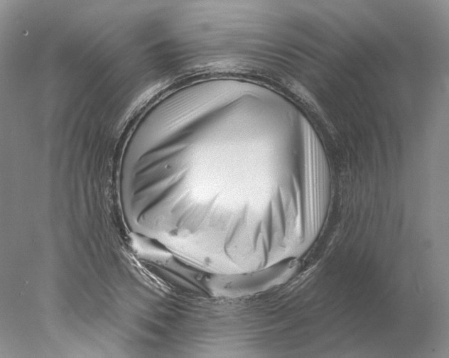 X0000077980930200611251342